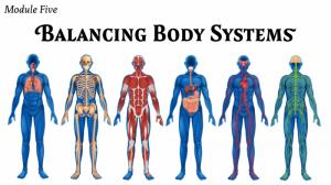 Module Five: Balancing Body Systems